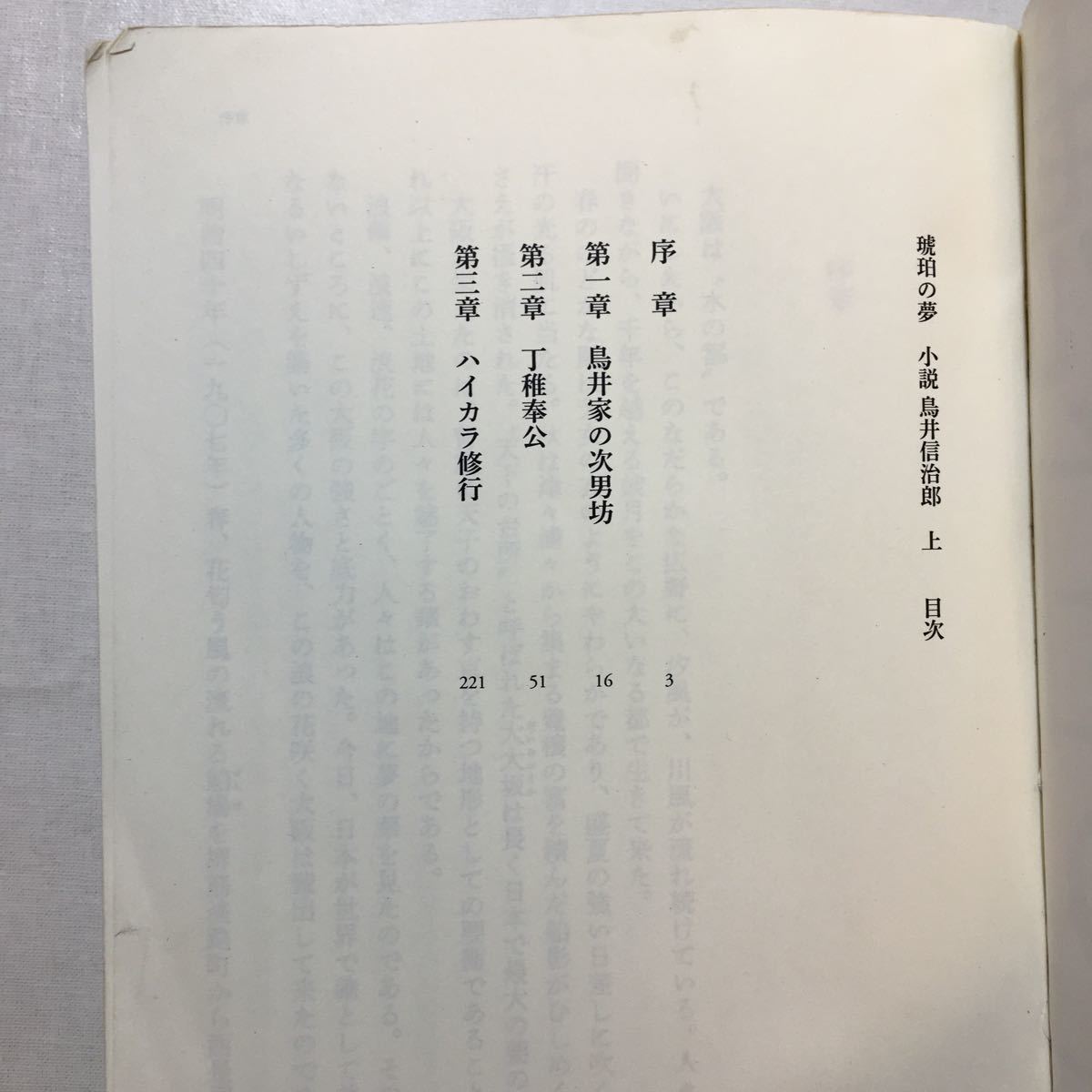 zaa-252♪琥珀の夢 小説 鳥井信治郎　上・下 (集英社) 伊集院 静 (著)　パイロット版　2017年　686ページ