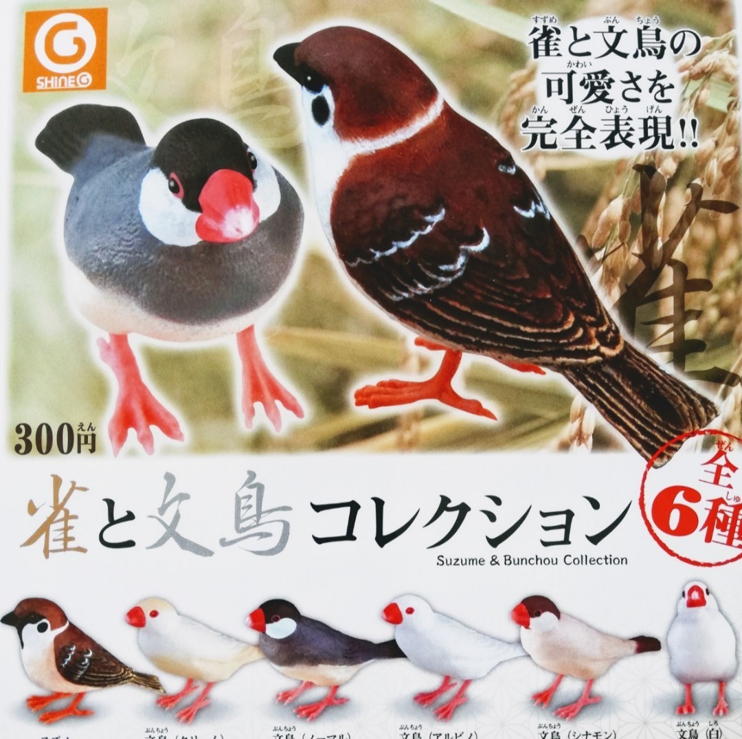 雀と文鳥コレクション 全６種類 新品 ミニチュアフィギュア カプセルトイ ガチャ