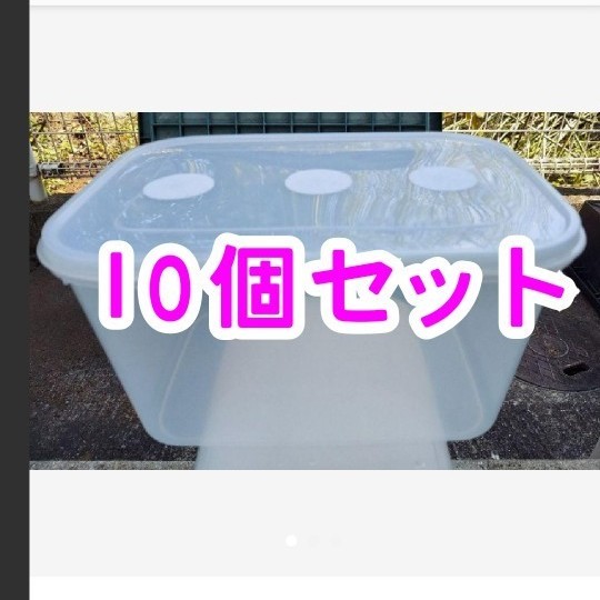 Paypayフリマ ダイソー Daiso カブトムシ幼虫飼育用ケース 10個セット ハンドメイド ヘラクレス幼虫飼育 ミルワーム飼育 コバエ対策 Paypayフリマ ダイソー Daiso カブトムシ幼虫飼育用ケース 10個セット ハンドメイド ヘラクレス幼虫飼育 ミルワーム飼育 コバエ対策
