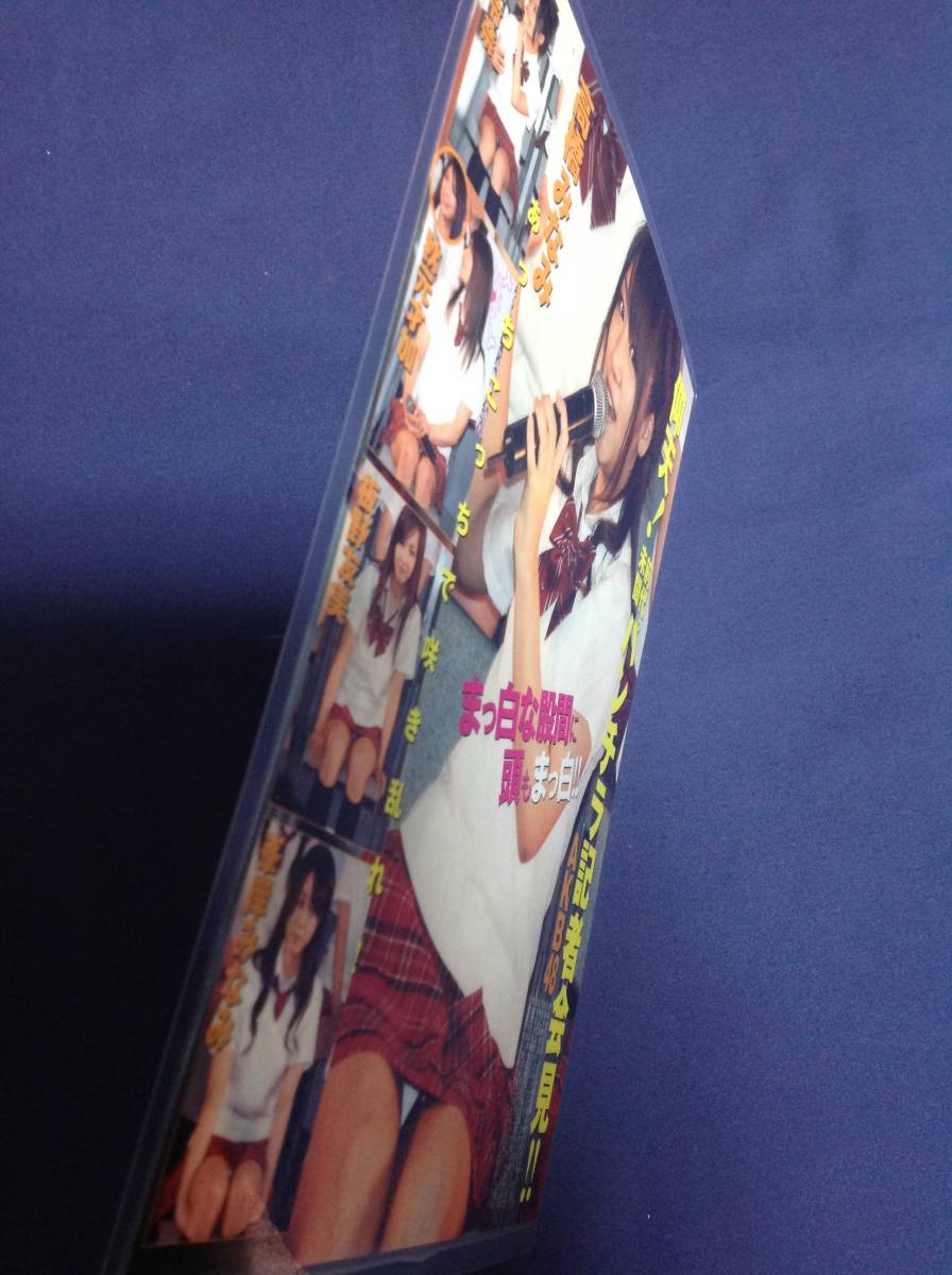 即決！高橋みなみ 元AKB48 パンチラ 切り抜き お宝系 ラミネート ラスト 送料無料 匿名配送_画像2