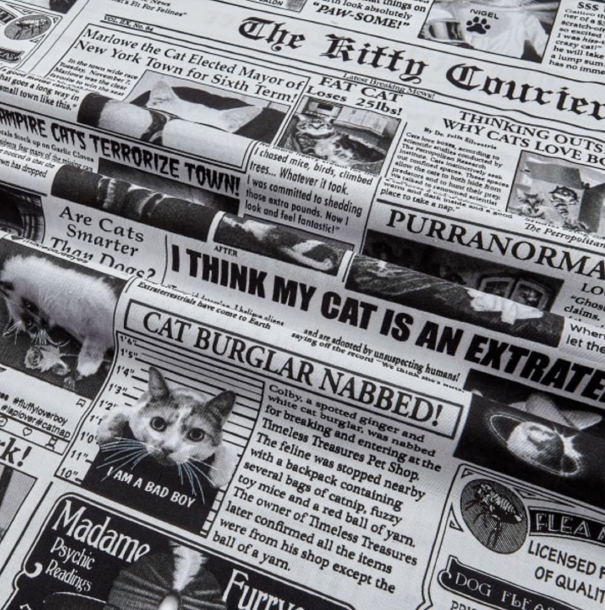 Timeless Treasures生地 Cat News Newsprint