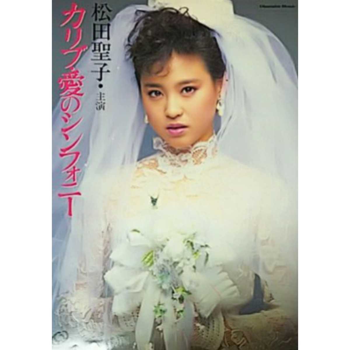 ★☆【写真集】松田聖子・主演 カリブ・愛のシンフォニー写真集_画像1