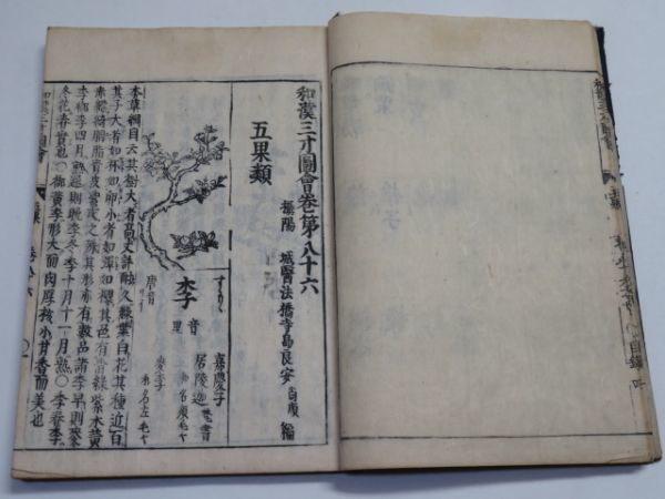 五果
