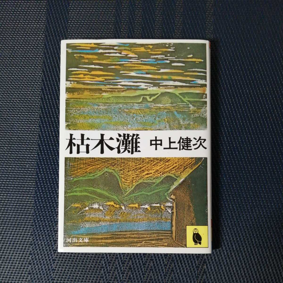 Amazon.co.jp: ※※乱丁本ハードカバーと本文が逆印刷本_芥川賞