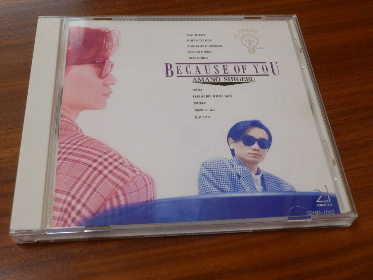 天野滋 CD「BECAUSE OF YOU」ビコーズ・オブ・ユー NSP N.S.P.