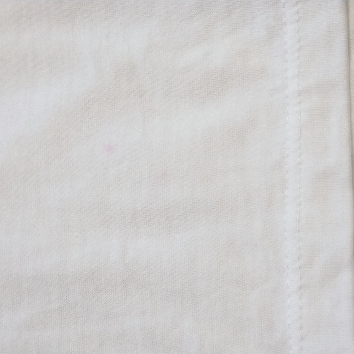 23区 半袖Tシャツ Mサイズ 白 コットン ロゴ 薄手 ストレッチ クルーネック オンワード トップス レディース 日本製 新品