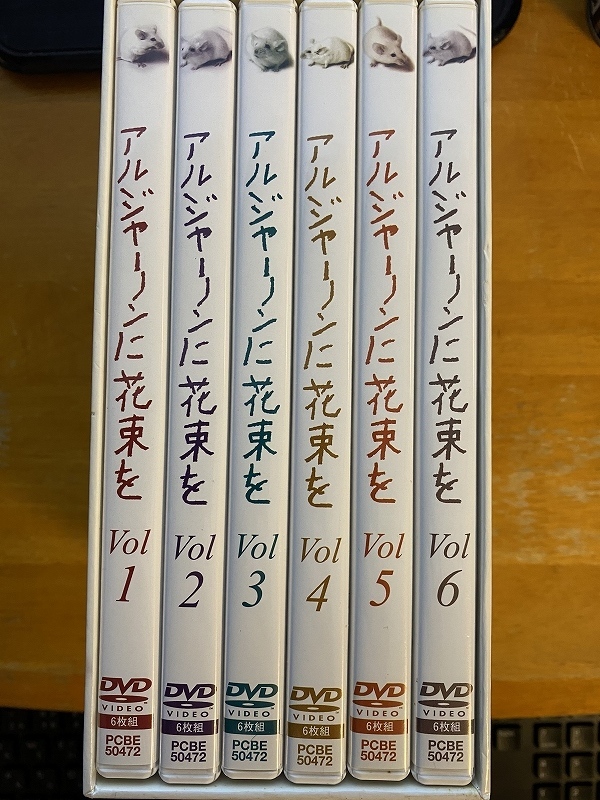 超格安価格 アルジャーノンに花束を Dvd Box 6枚組 日本映画 News Elegantsite Gr 超格安価格 アルジャーノンに花束を Dvd Box 6枚組 日本映画 News Elegantsite Gr