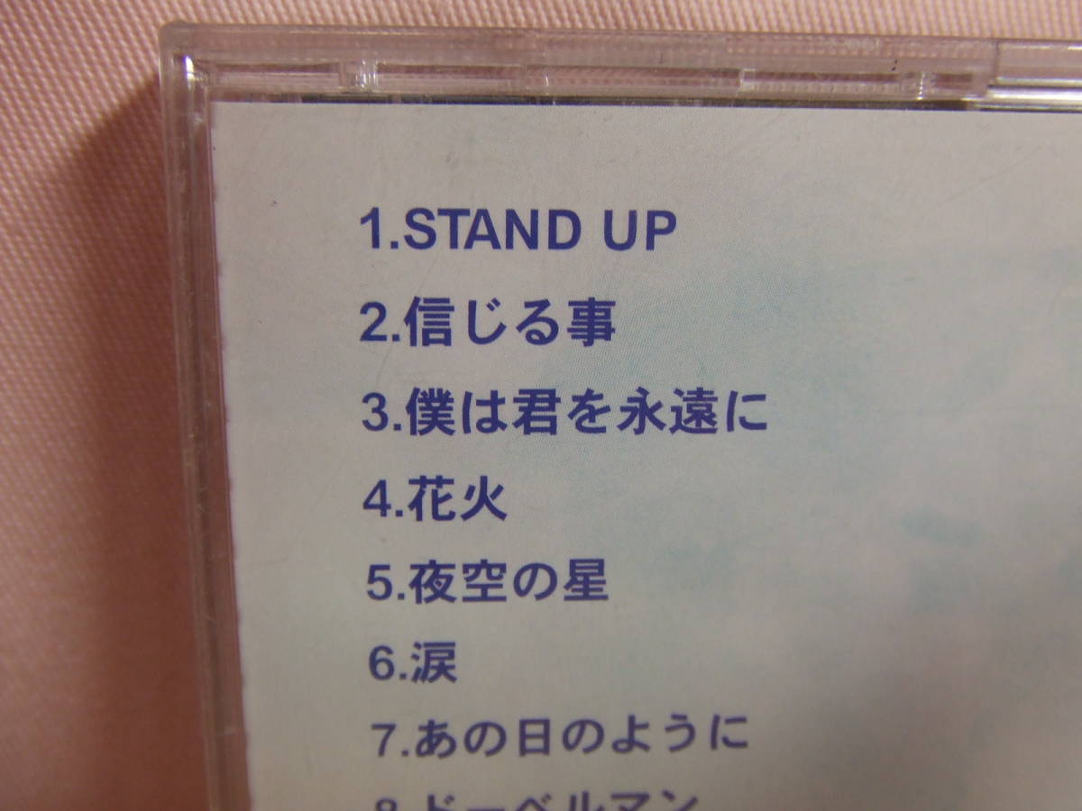 CD★送料100円★スタンドアップ 　THE STAND　UP　今、僕等、歩く道。　全11曲　　8枚同梱OK_画像5