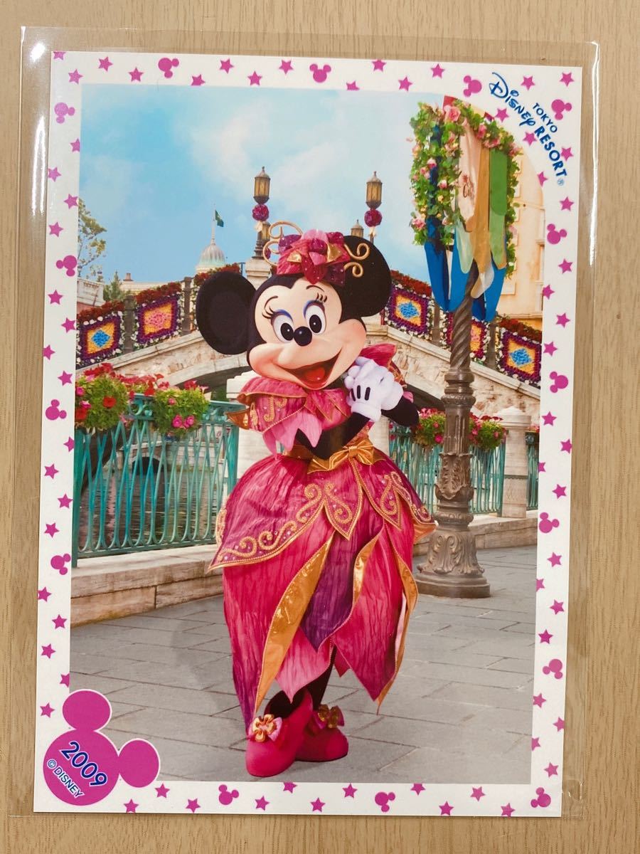 ディズニー スペシャルフォト スペフォ スプリングカーニバル ディズニー スペシャルフォト スペフォ スプリングカーニバル