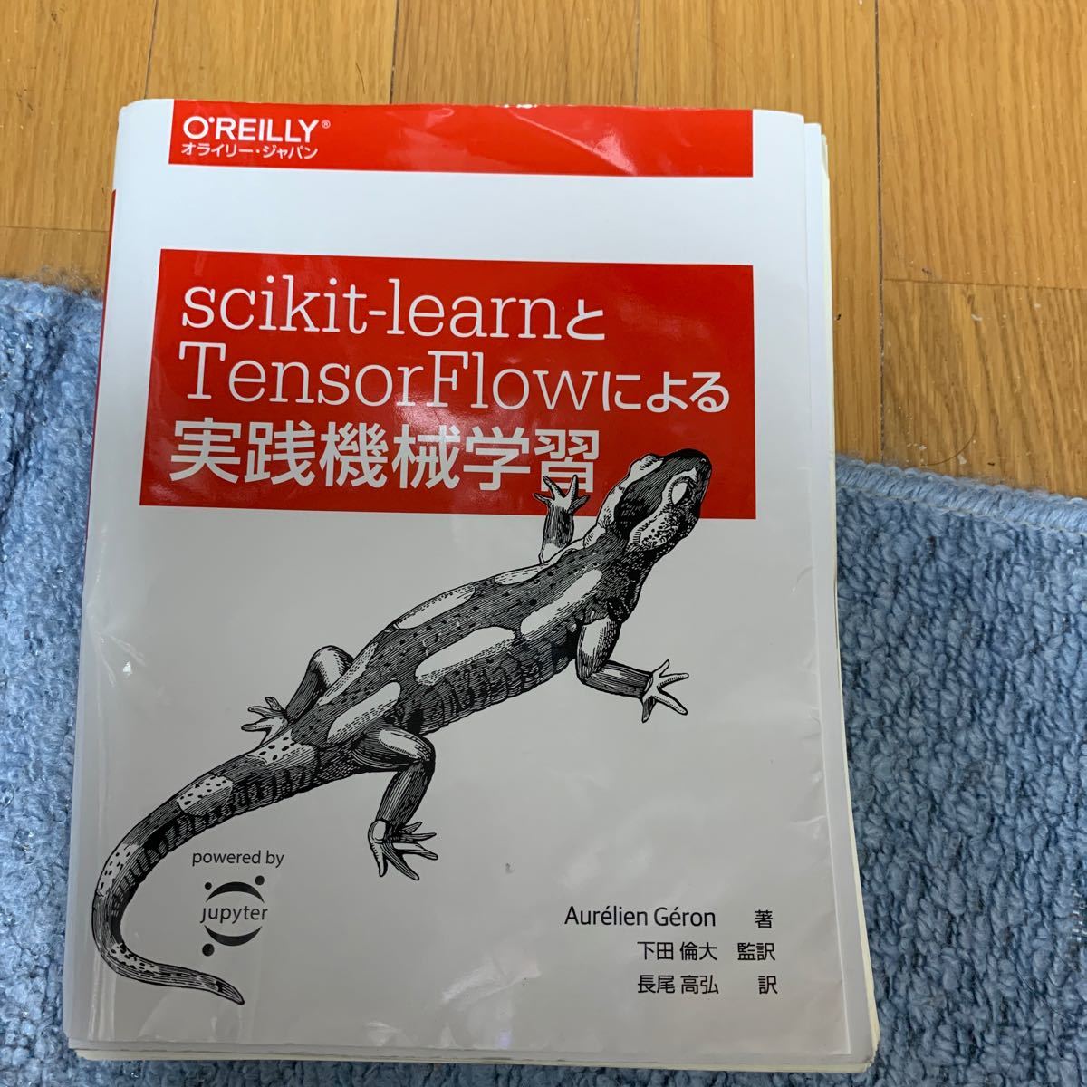 裁断済み　scikit‐learnとTensorFlowによる実践機械学習/AurelienGeron/下田倫大/長尾高弘