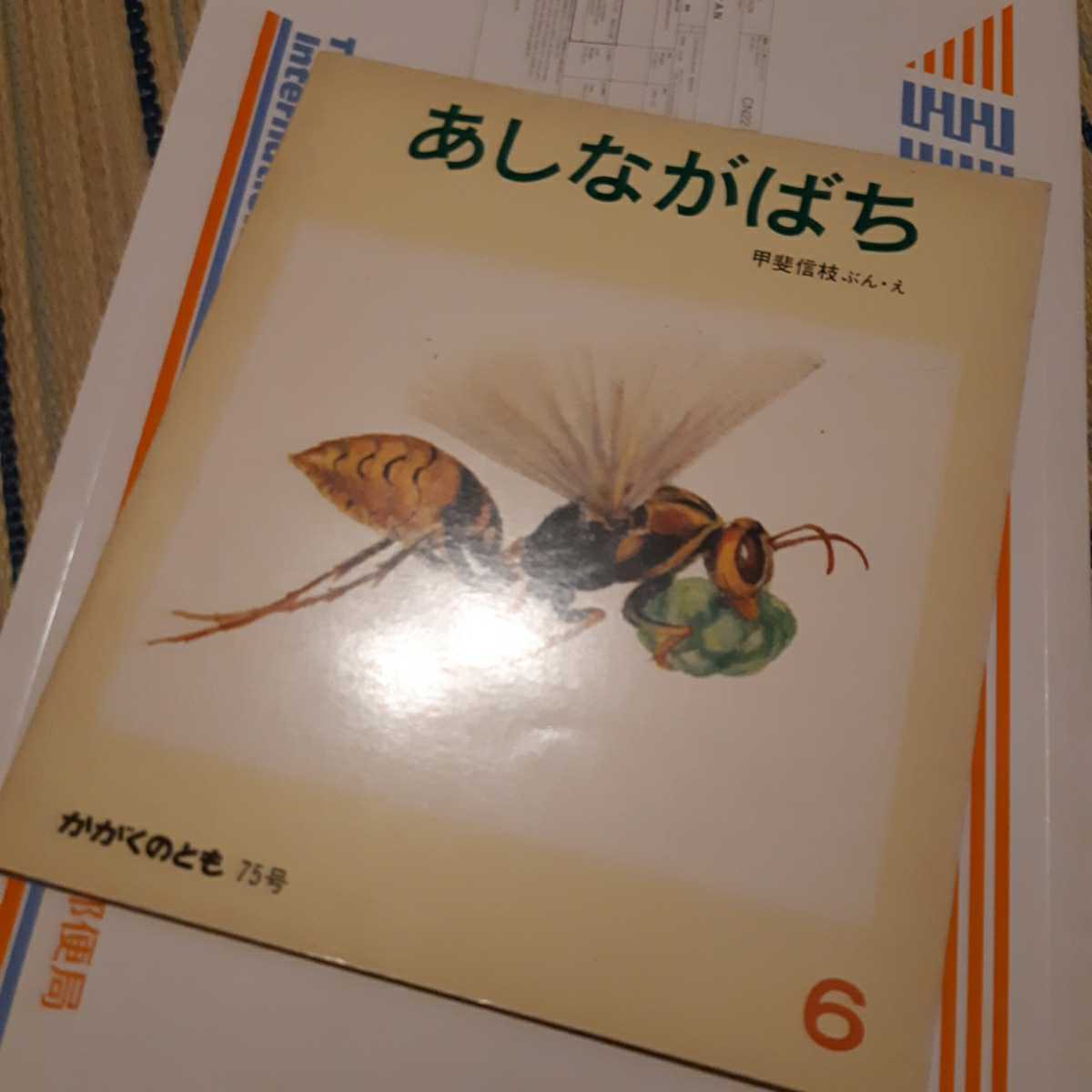 甲斐信枝□あしながばち_画像1