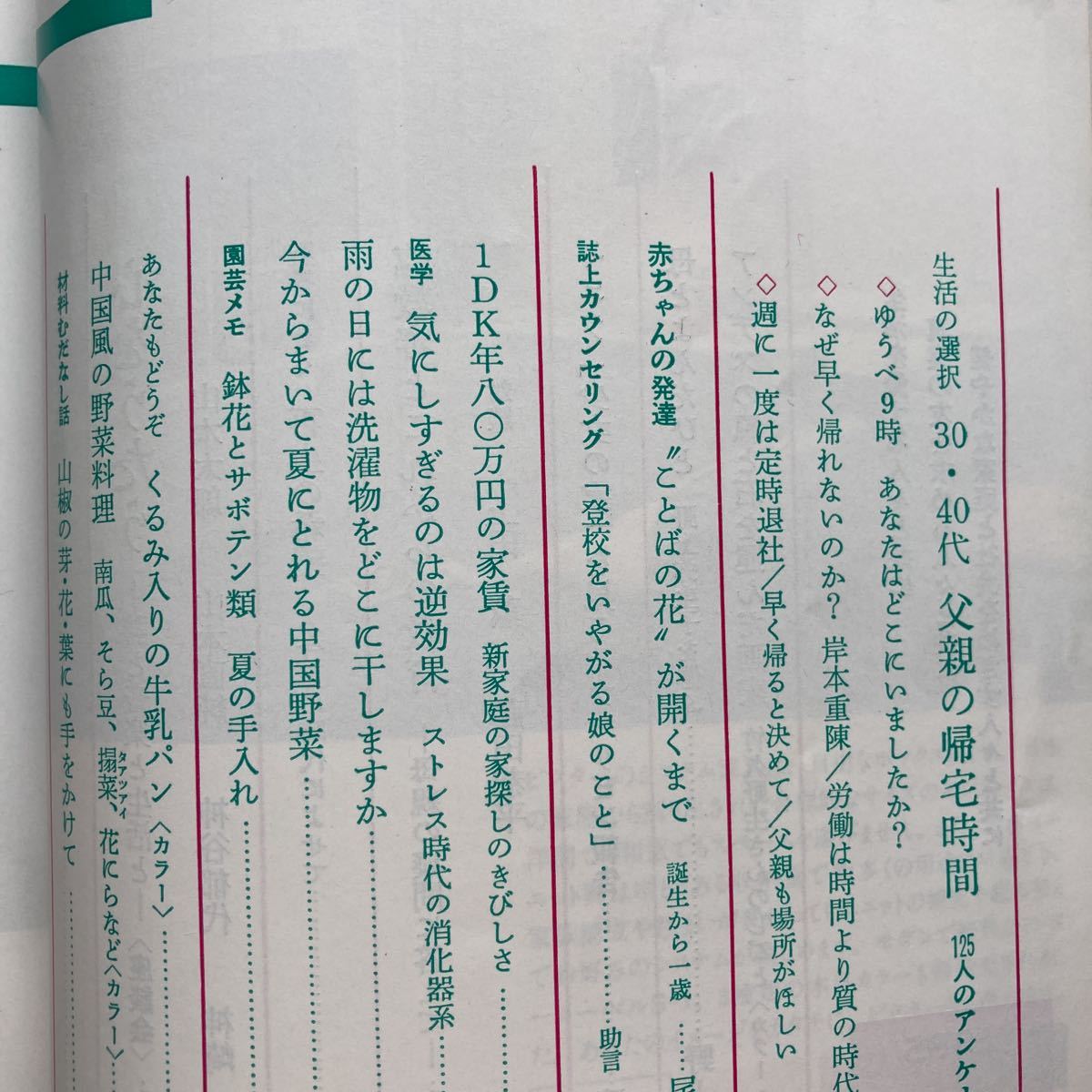 婦人之友　昭和60年6月号　☆川上のぶ 「くるみ入りの牛乳パン」　☆前田侑子 「中国風野菜料理」　☆障子カーテン作り方_画像2