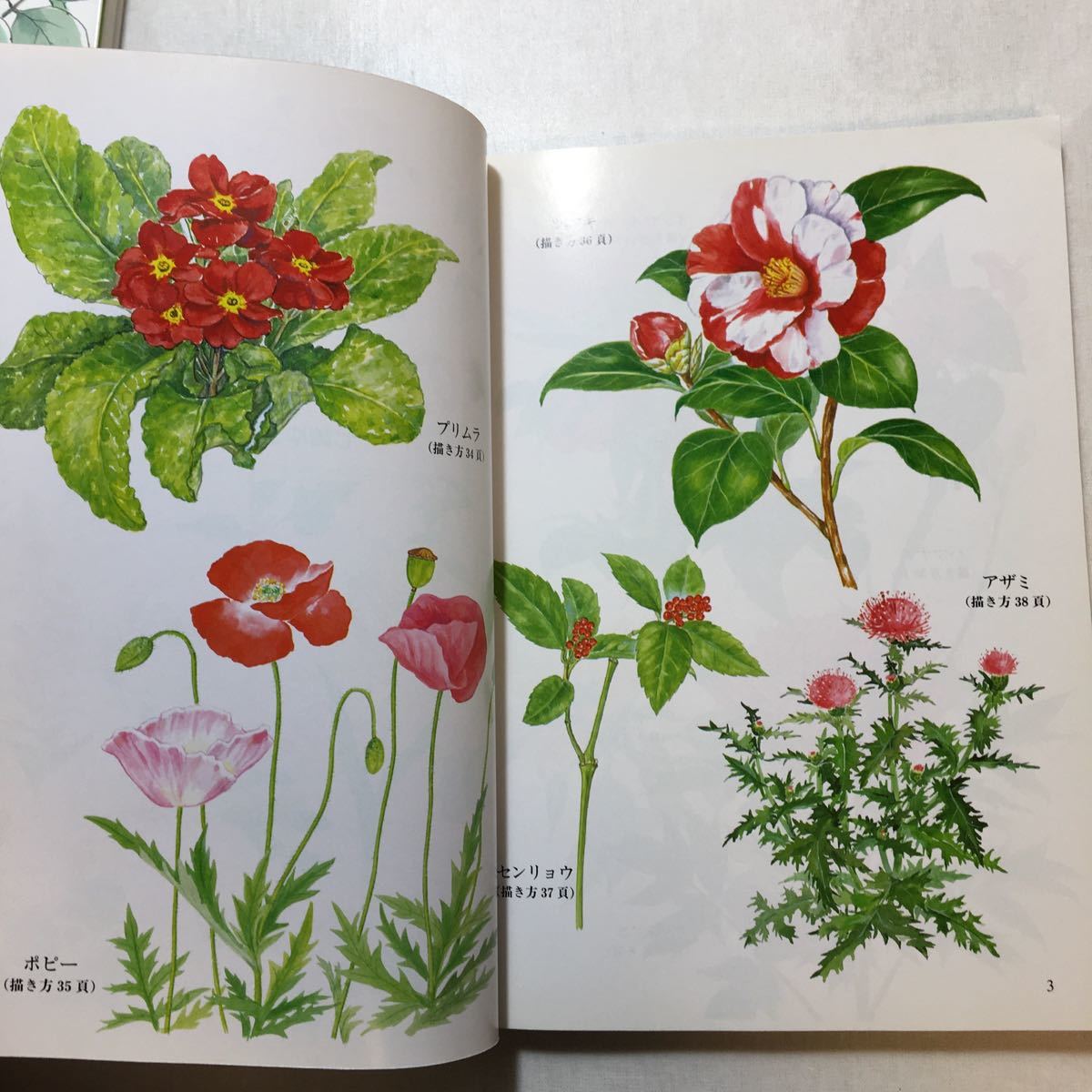 Paypayフリマ Zaa 232 だれでもできる花の描き方教室 七崎 ゆき 著 透明水彩 庭の花スケッチノート 中島 清隆 著 2冊セット