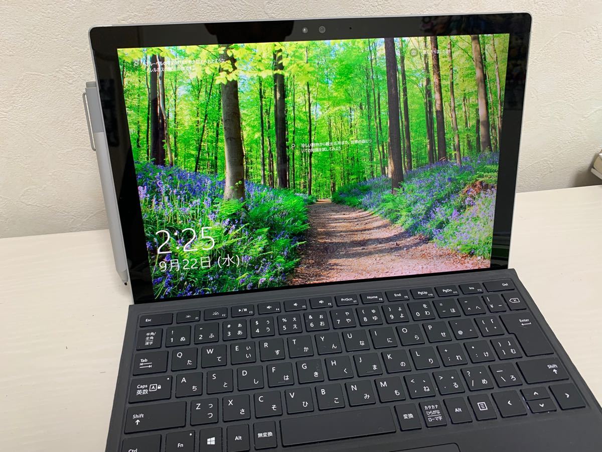 最安値 Surface Pro Pro 4 / 12.3インチ PCケースセット Surface