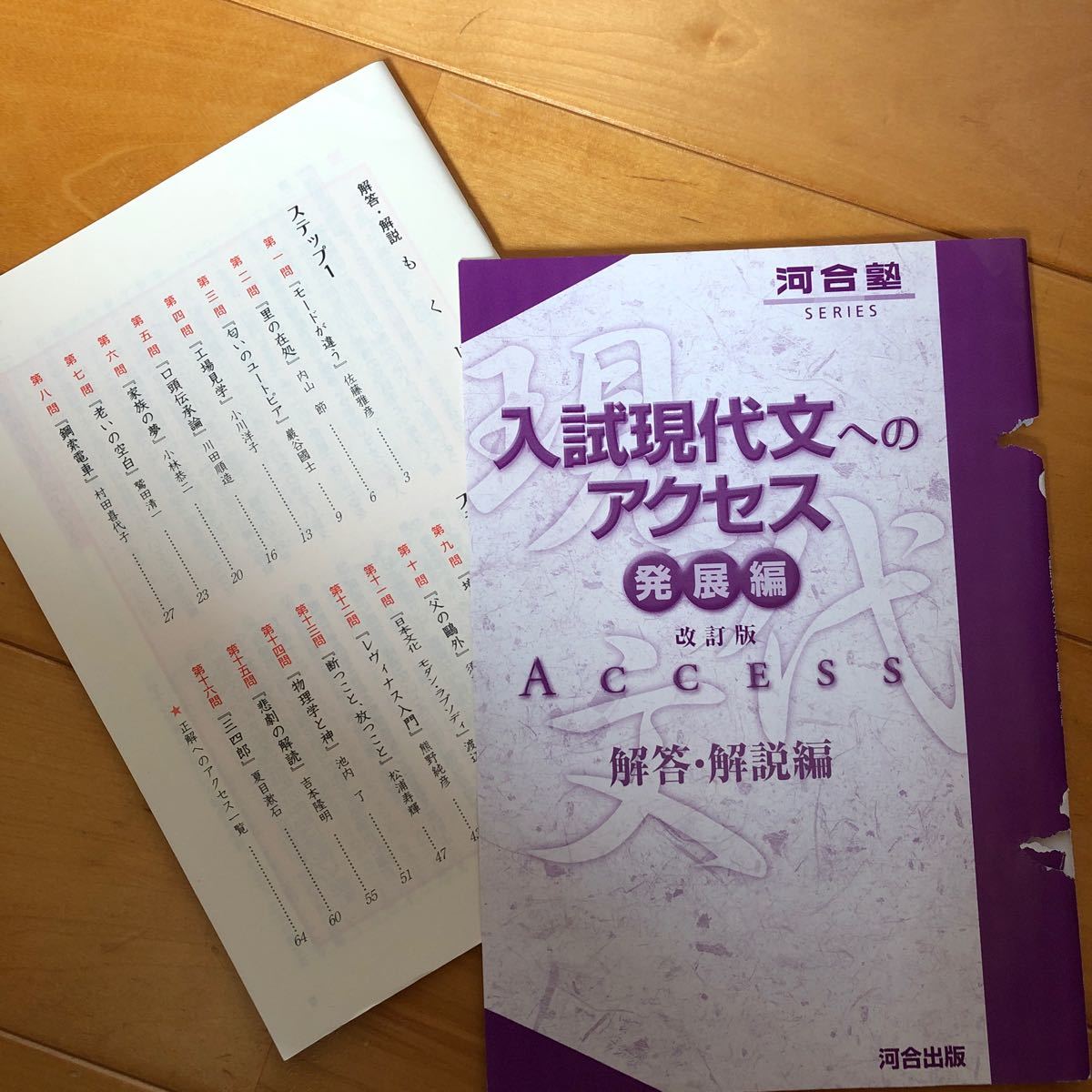 入試現代文へのアクセス 発展編 (河合塾シリーズ) 河合出版　河合塾講師　読んでおきたい文章を厳選　大学受験　大学入試　現代文