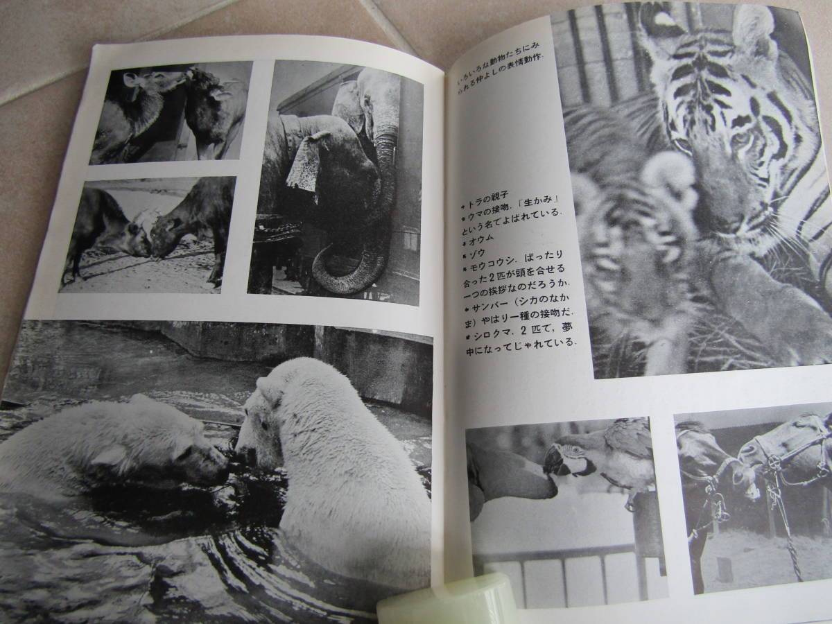 [ первая версия * распроданный ] Iwanami фотография библиотека 92[ животное. выражение ] Showa 28 год выпуск _ переиздание широкий версия выпуск нет * трудно найти _( стоимость доставки 140 иен )10