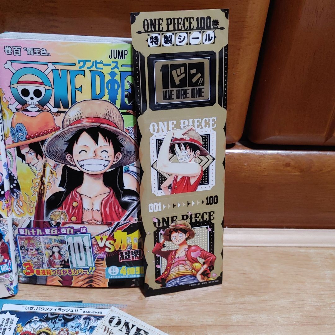 ONE PIECE 100　ワンピース　九十九　百