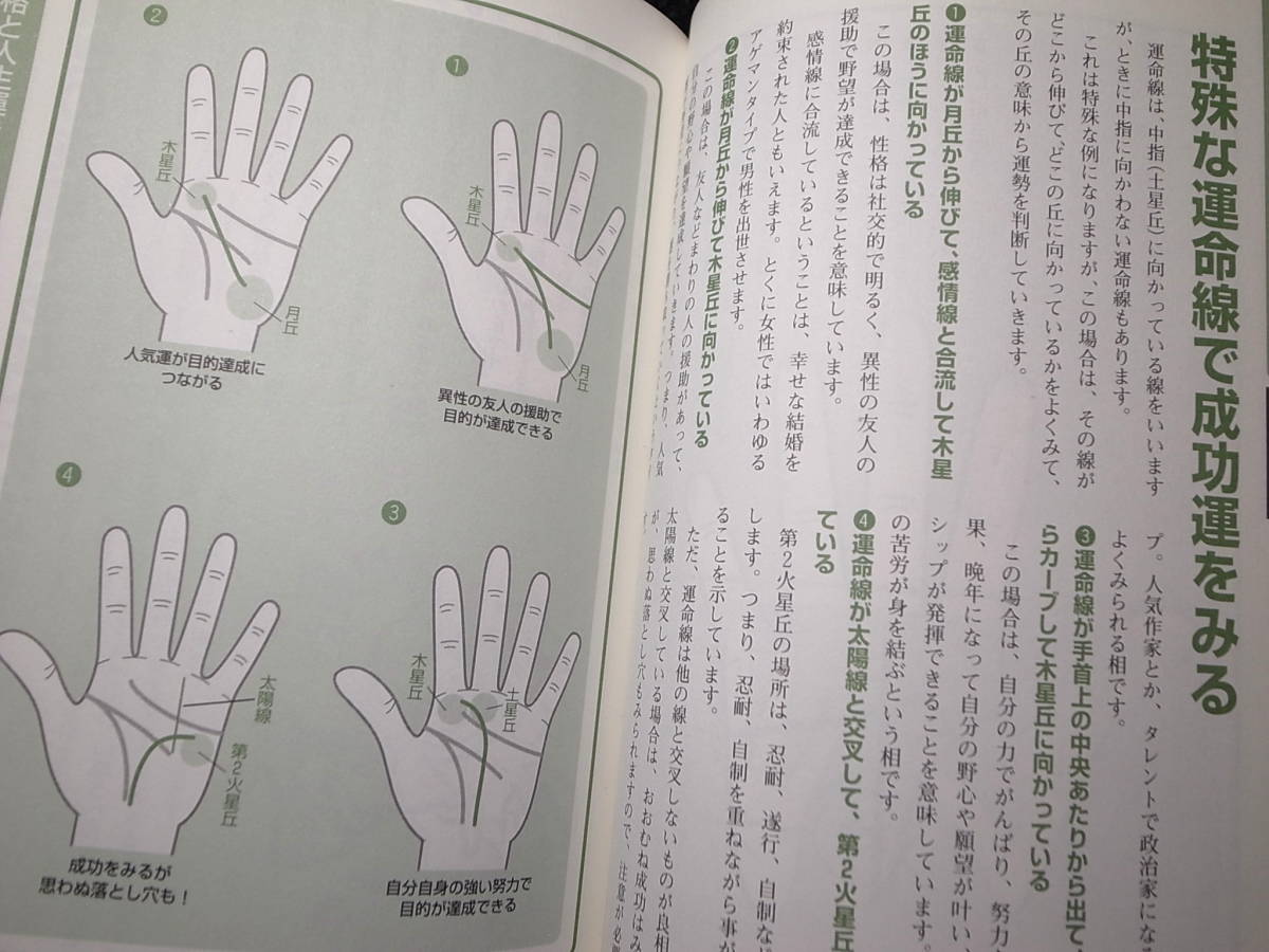 * want to know ... immediately understand new * palm reading introduction chie*e Rena : work *