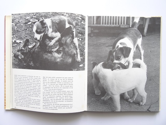  foreign book * dog. photoalbum book@ dog animal 