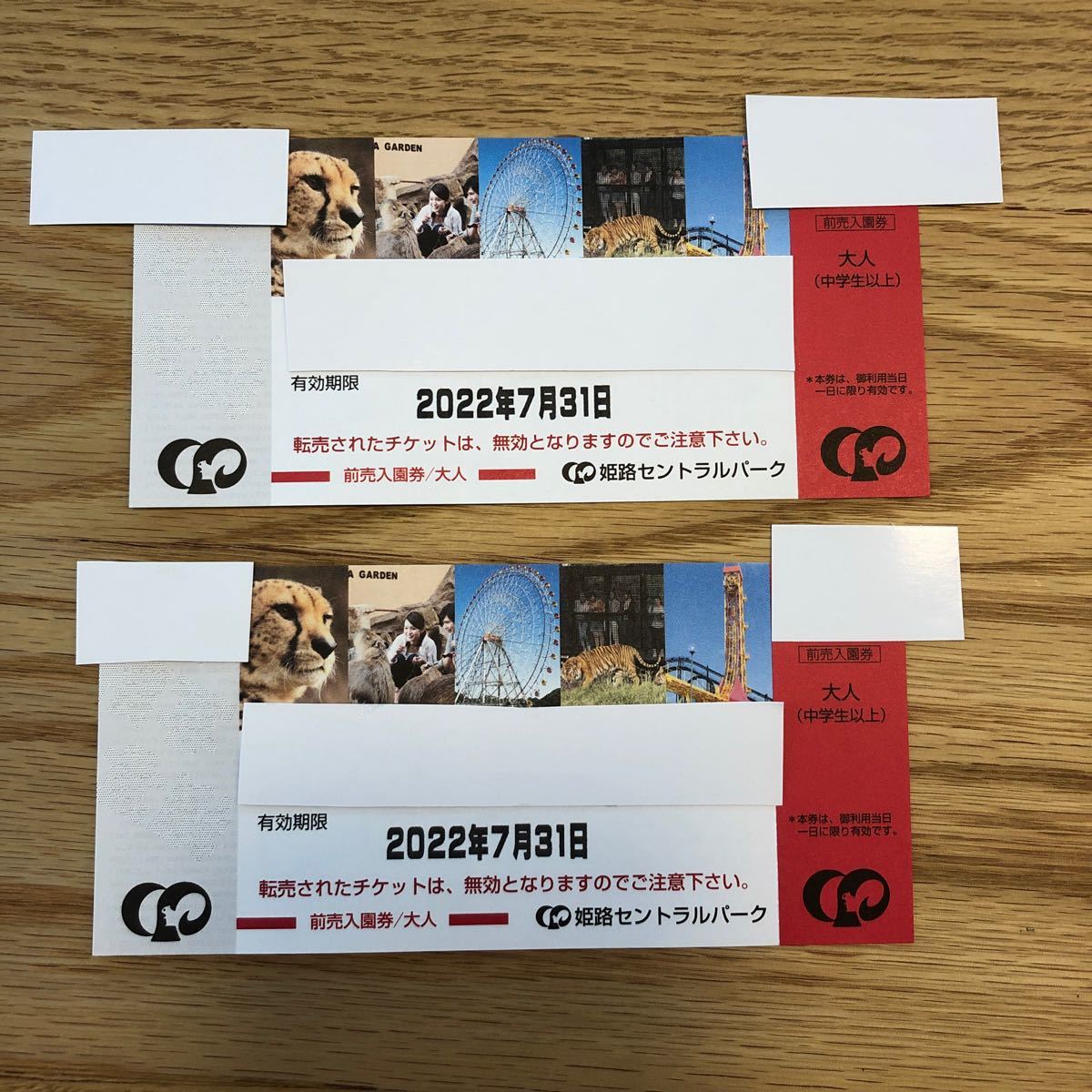 59%OFF!】 姫路セントラルパーク チケット おとな2枚 cosmetologiauba.com
