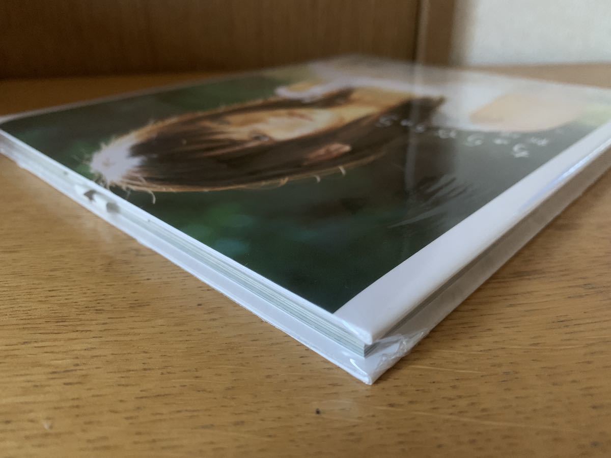 予約販売品】 ちゅら : 新垣結衣 写真集 新品 シュリンク未開封