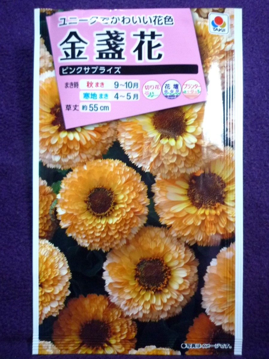 種子 金盞花 ピンクサプライズ タキイ種苗 22 04 オレンジ サーモンピンクの花色 ゆうパケット便可能