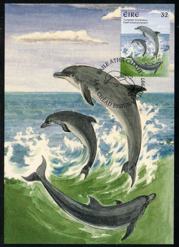 MC E602 アイルランド イルカ 鯨類 アザラシ 4V完貼り(4通組) 1997年 マキシマムカード_画像5