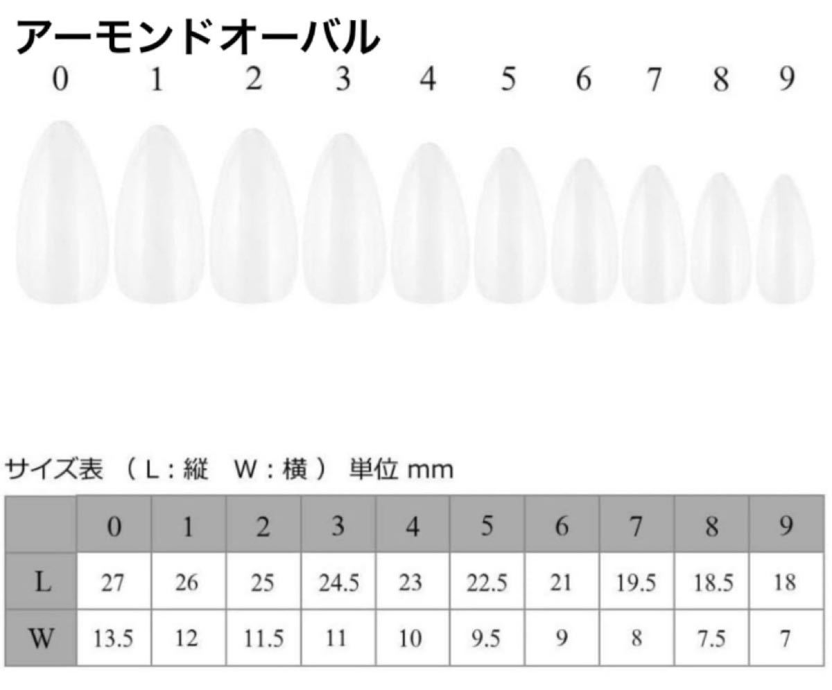 ネイルチップ　地雷系