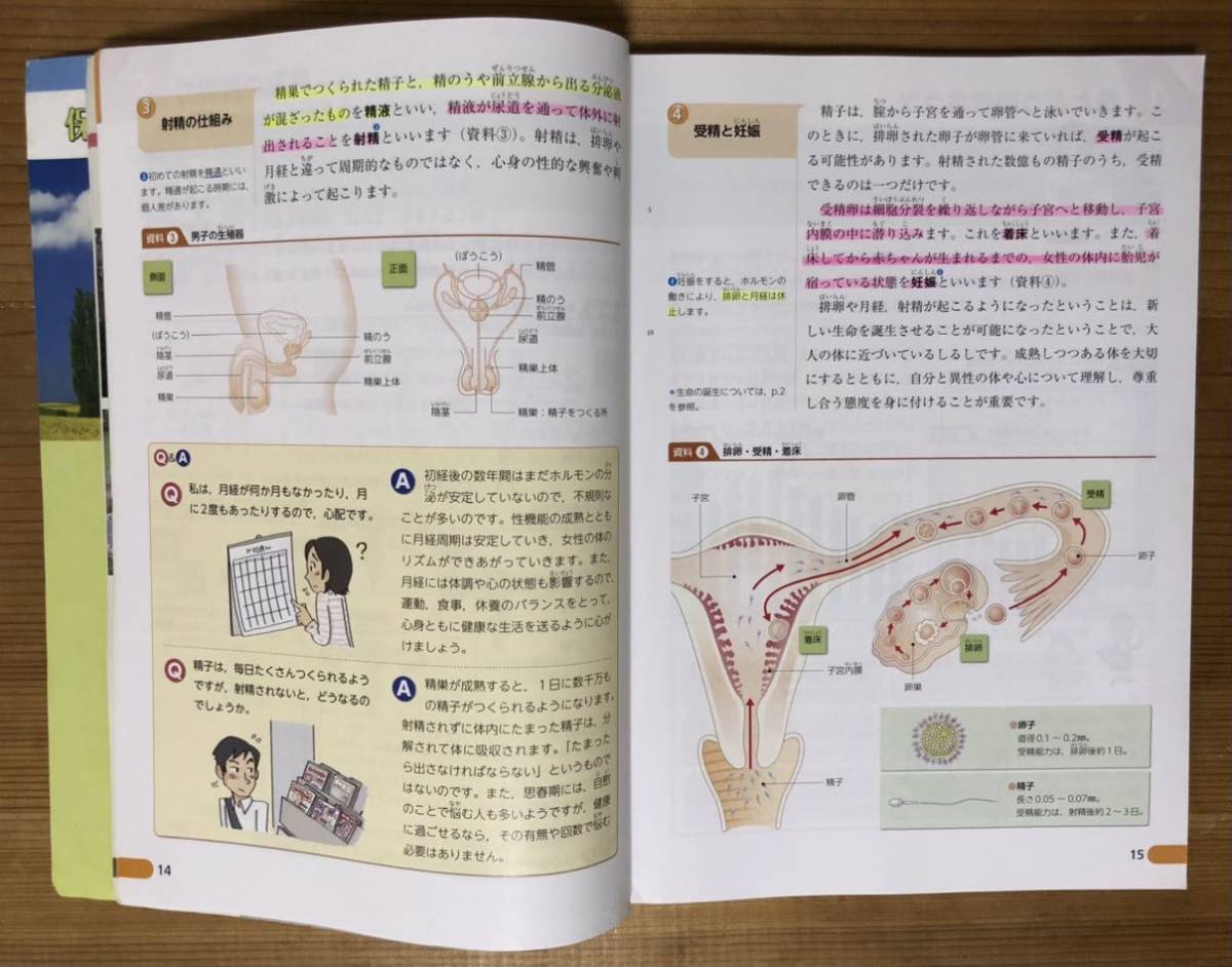 2024人気新作 文部科学省検定済教科書 保健体育☆学研 中学校保健体育科☆中学 中学校