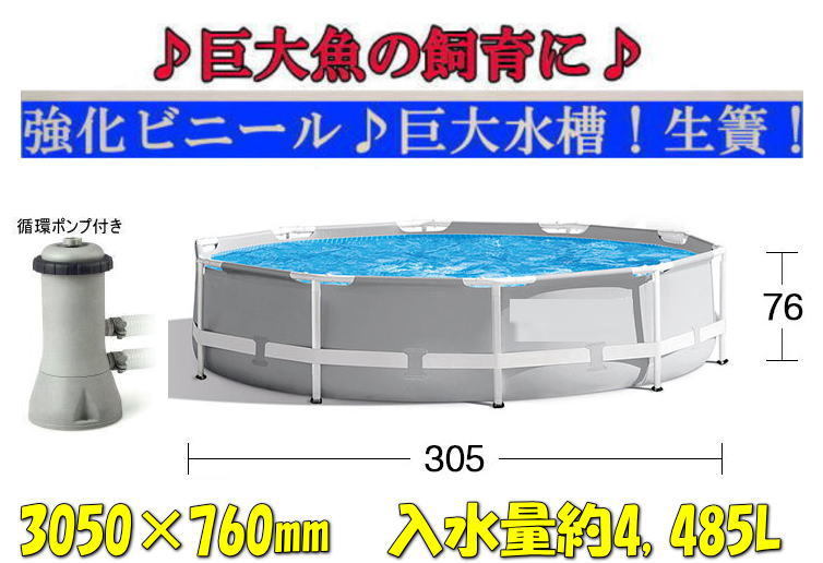 [ new goods! prompt decision! pump attaching!]** huge aquarium! raw .!305×76cm! go in water amount approximately 4,500L* huge fish! colored carp breeding! breeding .!***