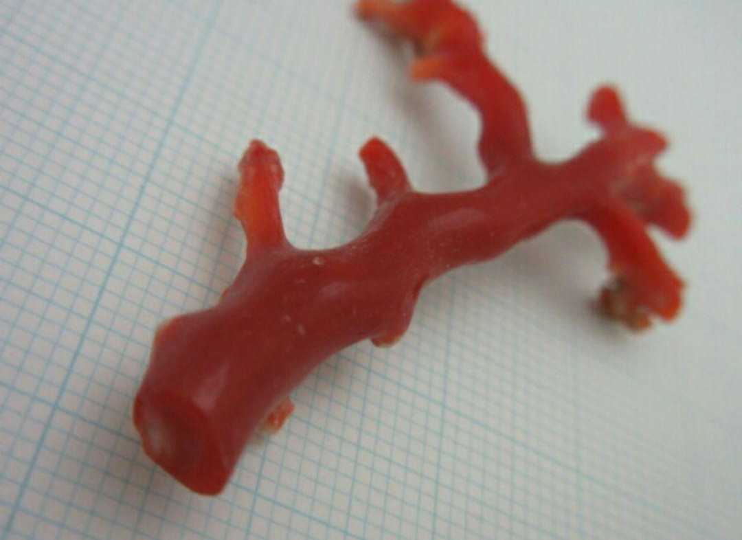 [TOP]. red .. coral 3.2g branch loose netsuke t77.