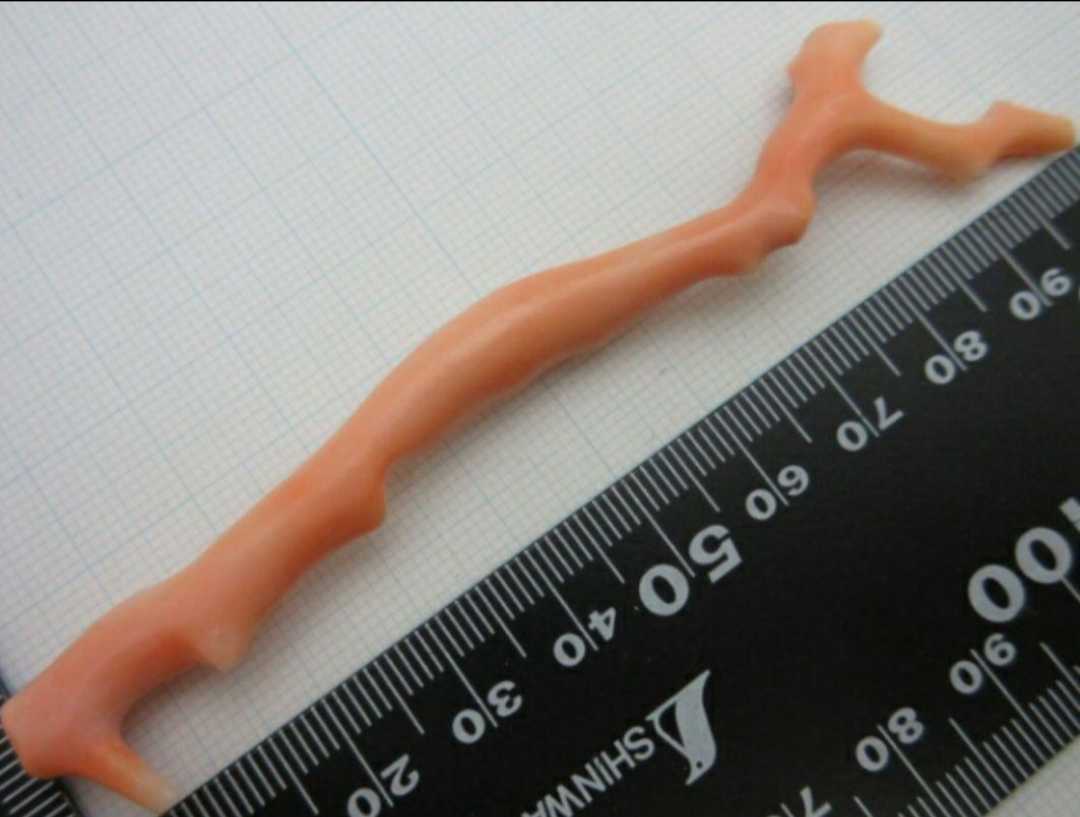 桃珊瑚 サンゴ 9.21g 枝 ルース 根付 b517.