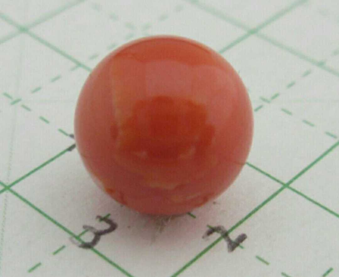 血赤珊瑚 サンゴ 9.45g 片穴ルース セット 本珊瑚 j526a www.vetrepro.fr