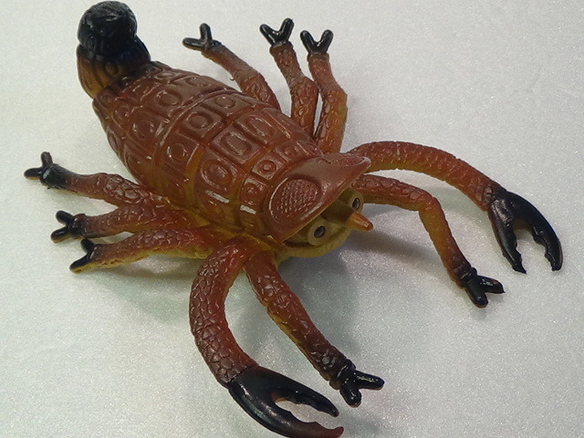 再値下 謎の生き物 動眼付き フィギュア サソリ クモ おもちゃ 恐竜 昆虫 生物_画像7