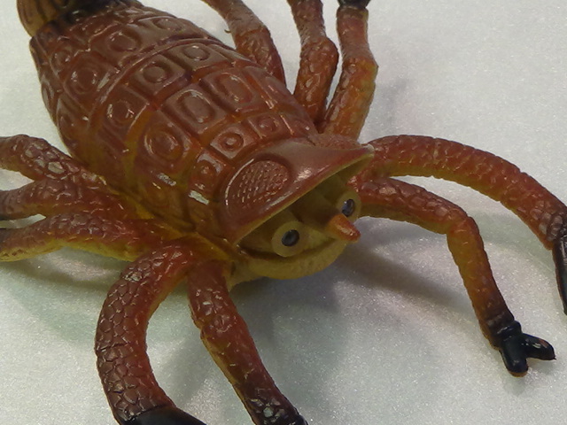 再値下 謎の生き物 動眼付き フィギュア サソリ クモ おもちゃ 恐竜 昆虫 生物_画像3