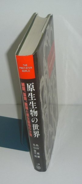 【国内配送】 原生生物の世界 -細菌,藻類,菌類と原生動物の分類-』 丸山晃 生物学
