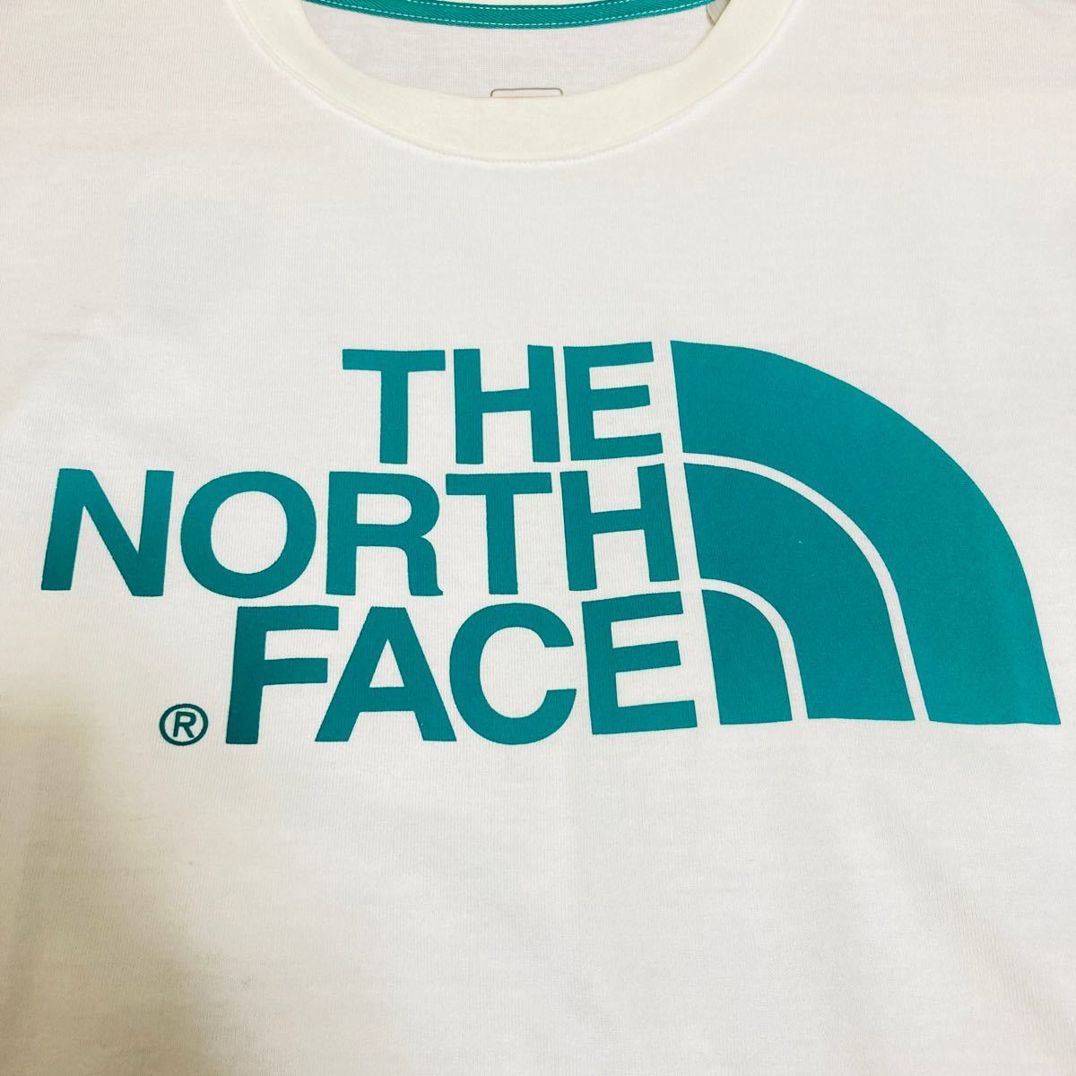 【大人気】THE NORTH FACE ザノースフェイス Tシャツ 半袖 カジュアル★Lサイズ メンズ NT31849