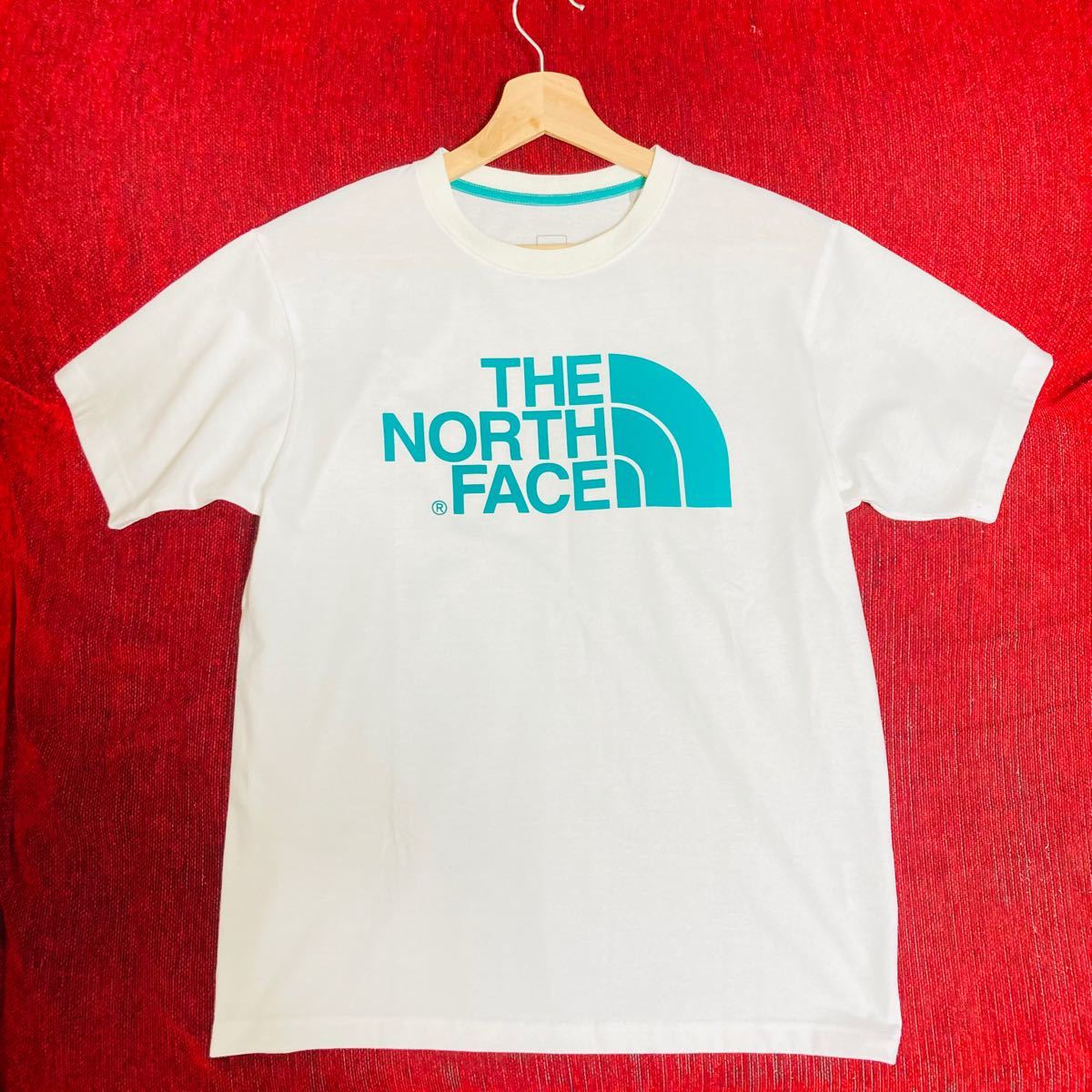 【大人気】THE NORTH FACE ザノースフェイス Tシャツ 半袖 カジュアル★Lサイズ メンズ NT31849