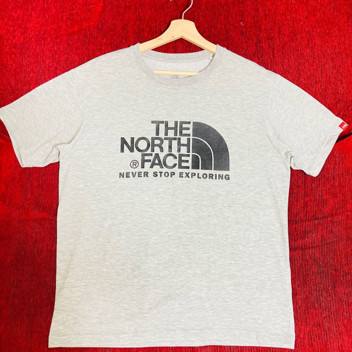 【大人気】THE NORTH FACE ザノースフェイス Tシャツ 半袖 カジュアル グレー★XLサイズ メンズ NT31620