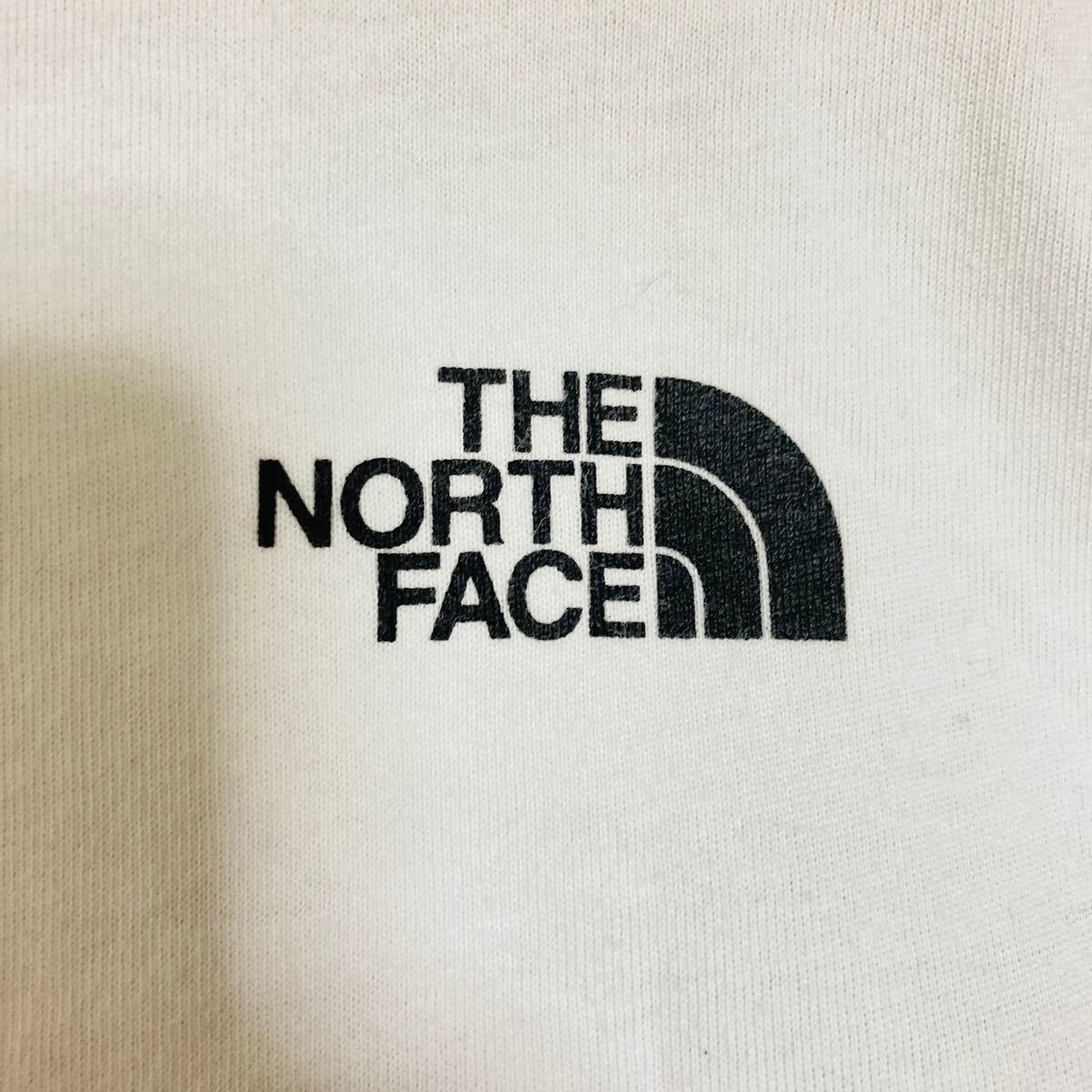 【大人気】THE NORTH FACE ザノースフェイス Tシャツ 半袖 ビッグロゴ★Mサイズ メンズ NT31801X
