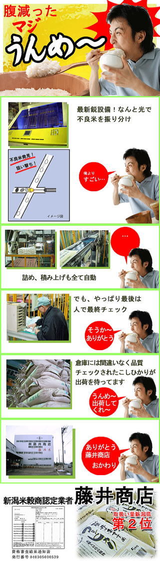 【送料無料】令和5年 新米　新潟県産こしいぶき5キログラム×26_画像3