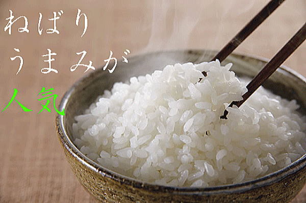 [ free shipping ]. peace 5 year production new rice Niigata prefecture production .....5 kilogram 