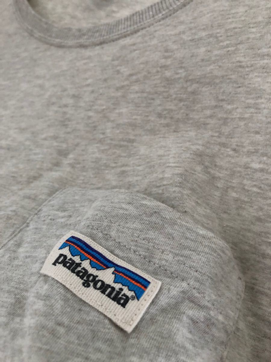 ■パタゴニア　ポケットクルーTシャツ　サイズL（ビッグシルエット）patagonia