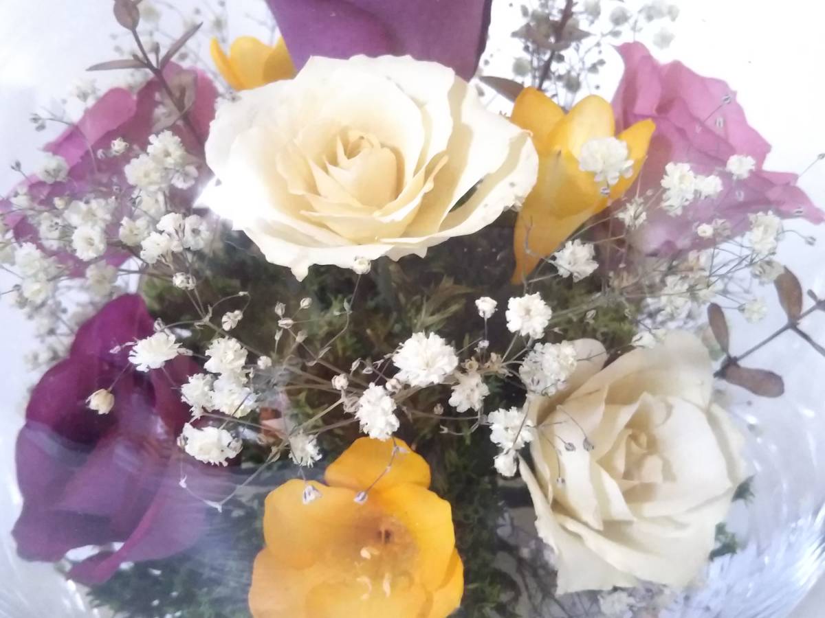 *Reine De Fleur Len te поток ru/ сухой цветок / стеклянный кейс ввод / роза / гипсофила / цветок украшение / миска 
