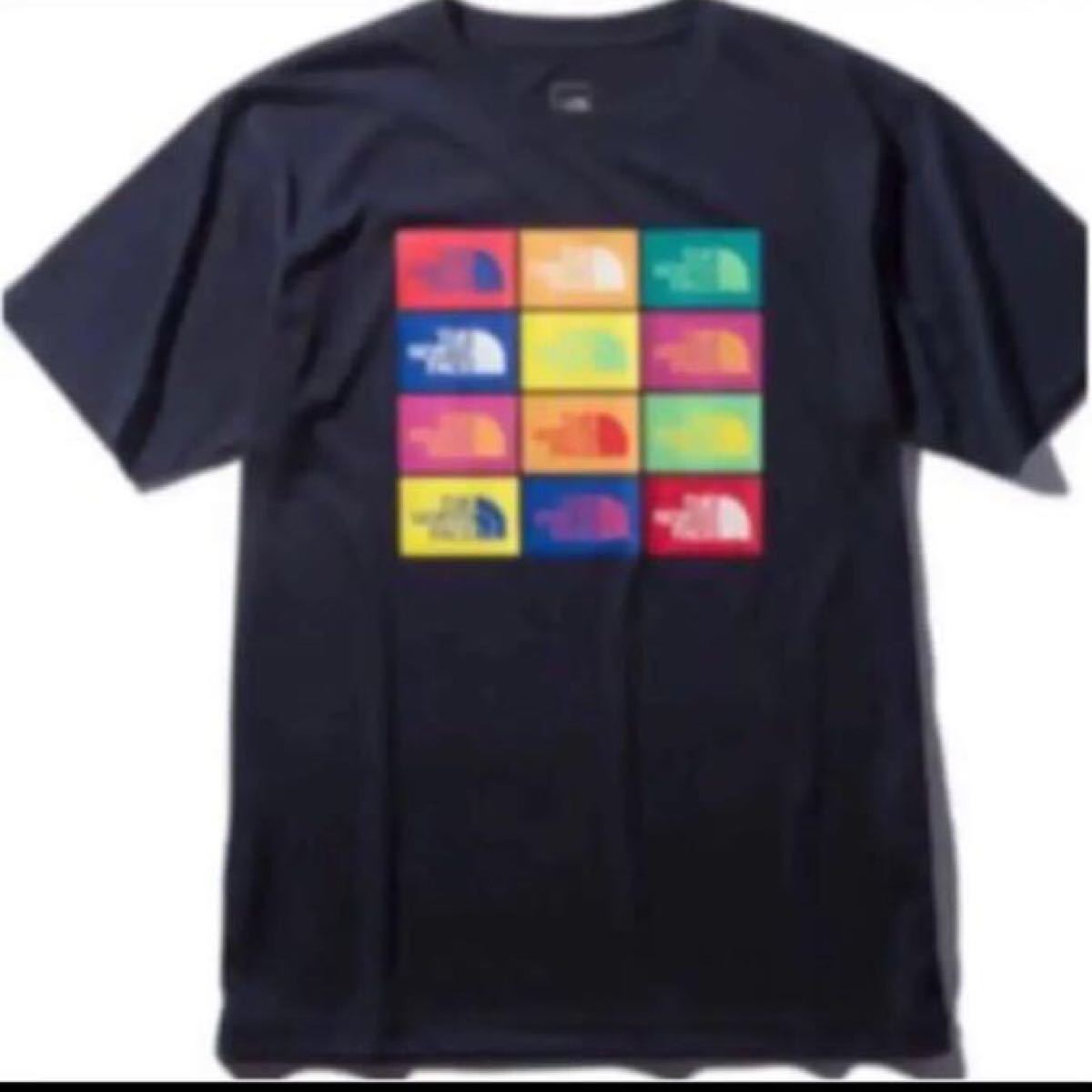 【未開封新品】ノースフェイス　Tシャツ カラフル　グラフィックロゴ　静電ケア設計　ネイビー色　メンズMサイズ　定価4620円