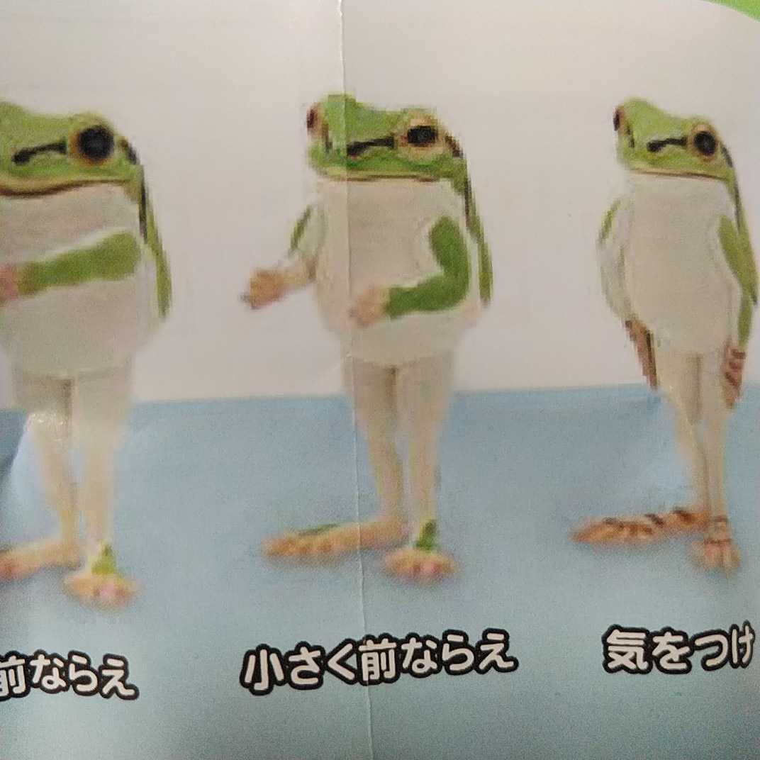 Paypayフリマ 即決 奇譚クラブ キタンクラブ 並べ隊 整列アマガエル 小さく前ならえ 小さく前へ習え グリーン 新品未開封 送料無料 Paypayフリマ 即決 奇譚クラブ キタンクラブ 並べ隊 整列アマガエル 小さく前ならえ 小さく前へ習え グリーン 新品未開封 送料無料