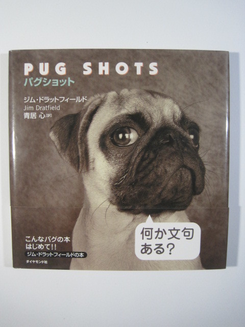 パグショット パグ 写真 写真集 PUG SHOTS ジム ドラットフィールド パグの本 犬 パグ ぱぐ 青居心_画像1