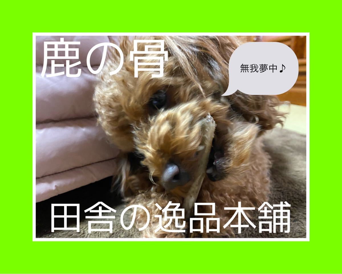 Paypayフリマ ワンちゃんが元気になる 鹿の骨 犬用 50g以上 小型犬から中型犬用 Paypayフリマ ワンちゃんが元気になる 鹿の骨 犬用 50g以上 小型犬から中型犬用