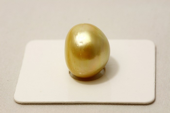 南洋白蝶真珠パールルース　両穴　15mm　ナチュラルゴールドカラー