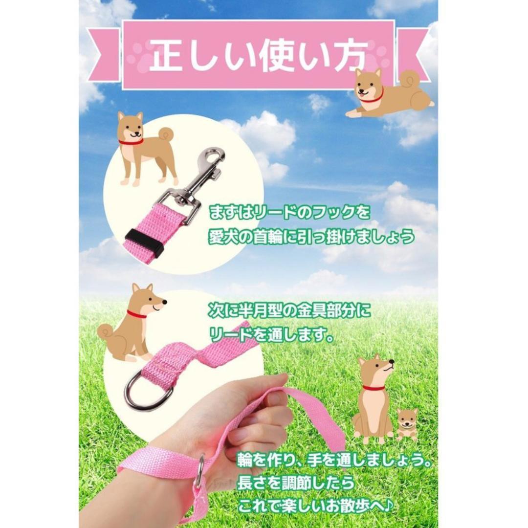 【安心のヤフネコ便】ロングリード 20M 定価2,000円 小型犬　中型犬　トレーニング　わんちゃん用　ブルー 送料無料！_画像3